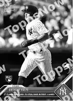 Anthony Volpe 2023 Topps NOW #31 カード情報