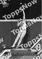 Protects Tigers Lead with Heroic HR Robbery